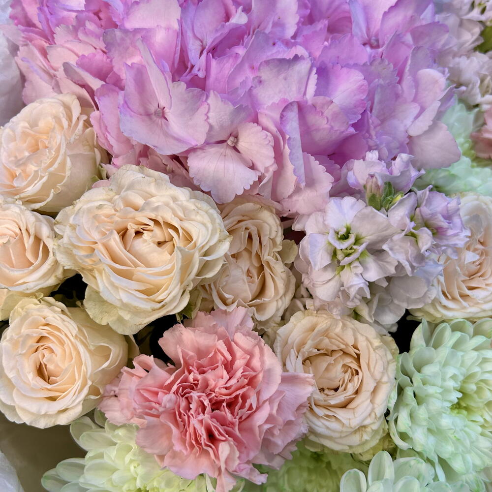 Gallery Preview
