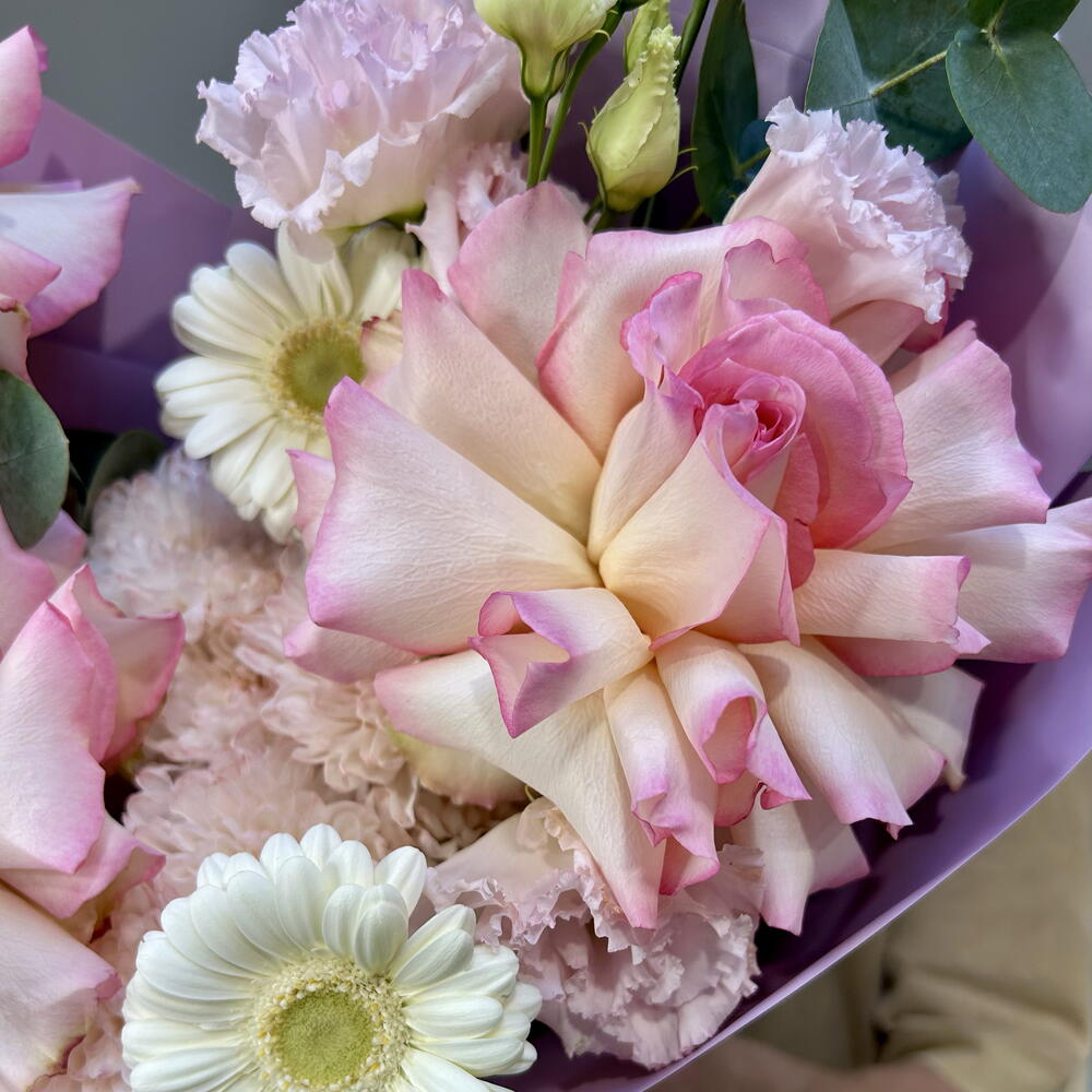 Gallery Preview